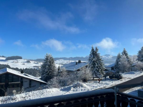 Helle Wohnung mit großem Balkon